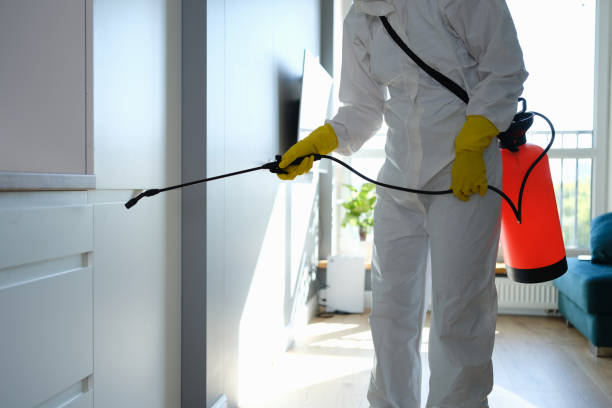 Professional Mold Inspection, Removal & Remediation in Valley City, ND